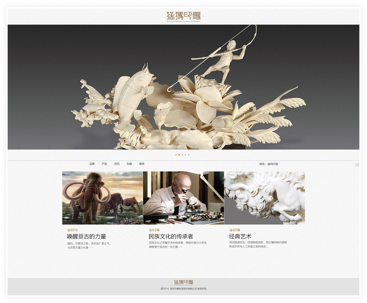深圳品牌网站设计公司